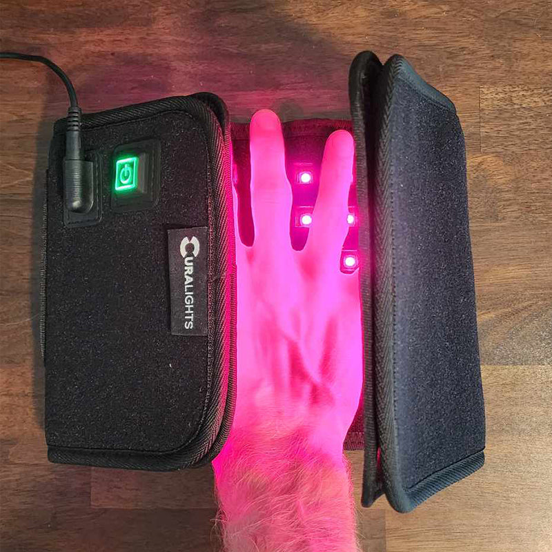 Cura ProWave Deep Healing Pad [Old Model]