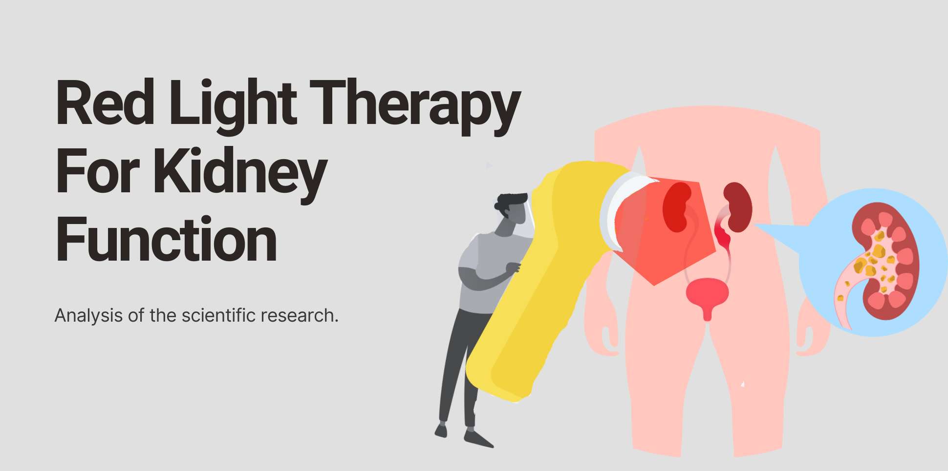 Banner promoting our blog on the scientific research of red light therapy for gut health.